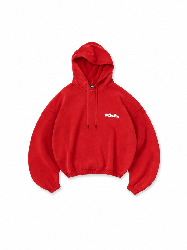Hoodie FCN5 FREE
