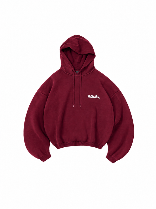 Hoodie FCN5 FREE