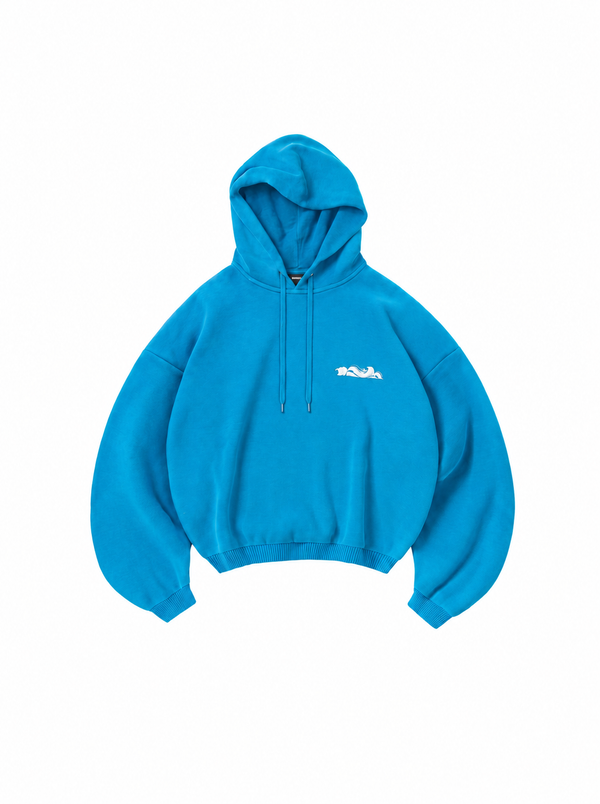 Hoodie FCN5 FREE